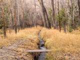 18957 County Road 162 - Photo 31