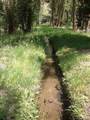 18957 County Road 162 - Photo 33