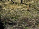 Lot 7712 Hallstein Road - Photo 12