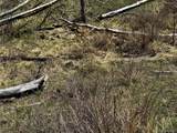 Lot 7712 Hallstein Road - Photo 15