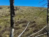 Lot 7712 Hallstein Road - Photo 16