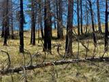 Lot 7712 Hallstein Road - Photo 18