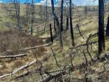 Lot 7712 Hallstein Road - Photo 20