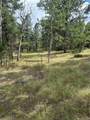 17 and 33 Deer Ridge Trail - Photo 7