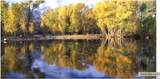 17405 Red Deer Vista - Photo 3
