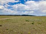 000 Fourmile Creek Road - Photo 27