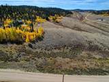 222 Chief Trail - Photo 11