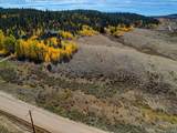 222 Chief Trail - Photo 12