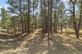 11165 Pine Meadows Road - Photo 29