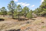 11165 Pine Meadows Road - Photo 35