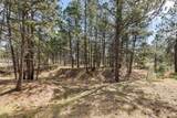 11165 Pine Meadows Road - Photo 39
