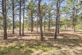 11165 Pine Meadows Road - Photo 41