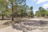 11165 Pine Meadows Road - Photo 43