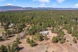 11165 Pine Meadows Road - Photo 46
