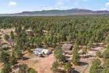 11165 Pine Meadows Road - Photo 47