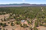 11165 Pine Meadows Road - Photo 48