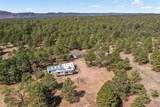 11165 Pine Meadows Road - Photo 49