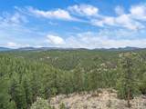 35005 Whispering Pines Trail - Photo 23