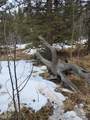 80 Haida Way - Photo 4