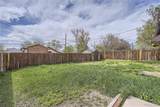 4835 Harlan Street - Photo 26