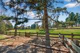 4 Oakmont Lane - Photo 44