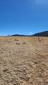 Lot 291 Black Hills - Photo 13