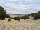 00 Black Horse Drive - Photo 12