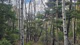 Lot 5261 Scott Road - Photo 11