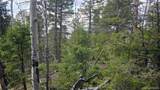 Lot 5261 Scott Road - Photo 14