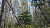 Lot 5261 Scott Road - Photo 16