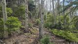 Lot 5261 Scott Road - Photo 8