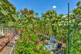 13961 Marina Drive - Photo 35