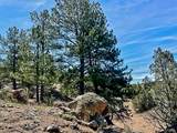 7080 Copper Gulch Road - Photo 11