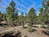 7080 Copper Gulch Road - Photo 9