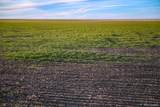  Tbd County Road 30 - Photo 6