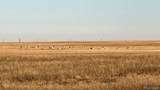  Tbd County Road 30 - Photo 10