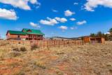 1528 Silverheels Road - Photo 41