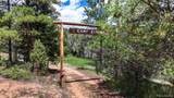 22511 Resort Creek Road - Photo 2