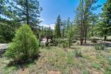 22511 Resort Creek Road - Photo 49