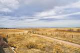 2599 Jebel Way - Photo 41