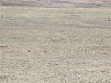 County Road 118 - Photo 15