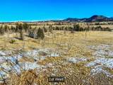 111 Antelope Way - Photo 21