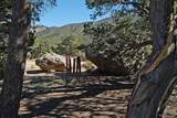 3572 Camino Baca Grande - Photo 6