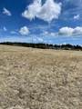 57 Fish Creek - Photo 3
