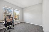 164 Apache Plume Street - Photo 12