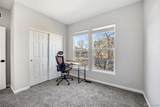 164 Apache Plume Street - Photo 13