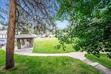 29656 Buffalo Park Road - Photo 37