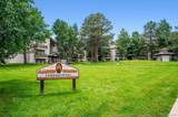 29656 Buffalo Park Road - Photo 8
