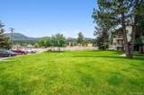 29656 Buffalo Park Road - Photo 9