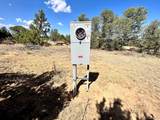  Lot 919 Los Vaqueros Circle - Photo 2